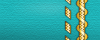 Lieutenant Commander
